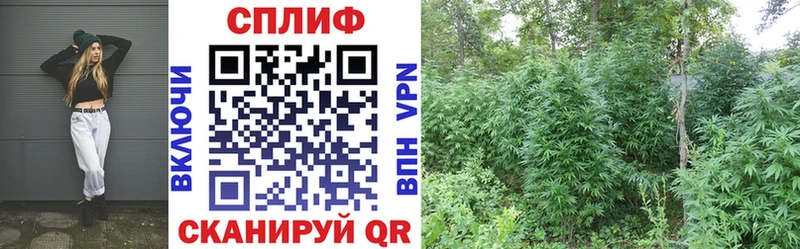 Бошки Шишки сатива Купить где Бугульма